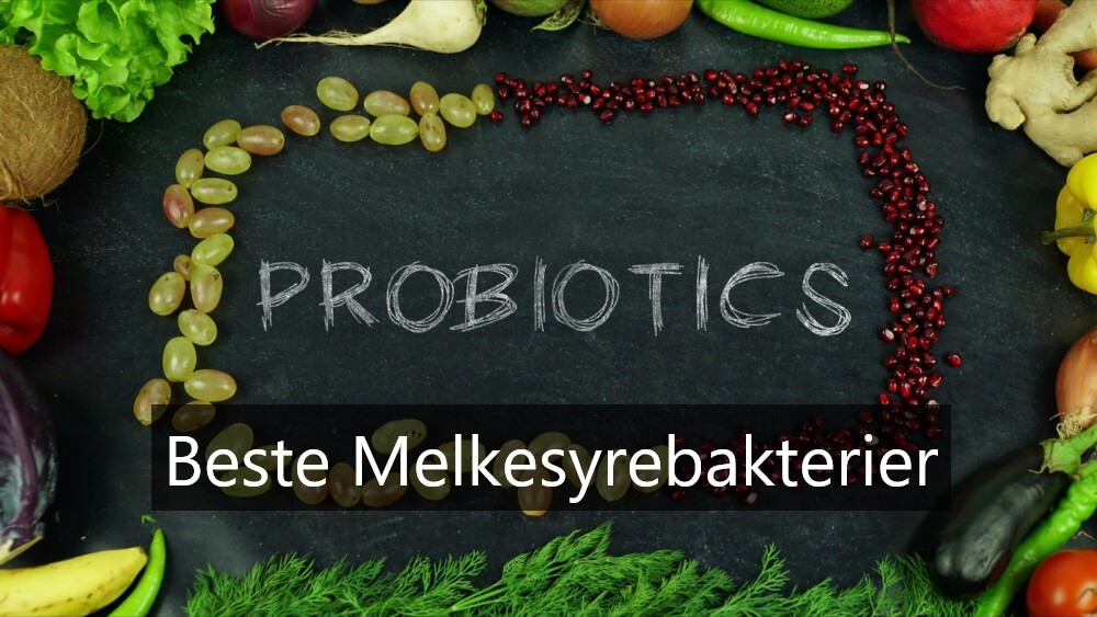 beste Probiotika og melkesyrebakterier